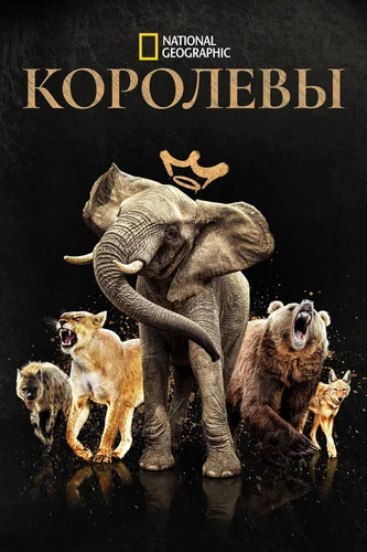 Королевы (2024) смотреть онлайн