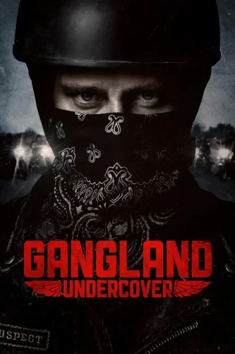 Под прикрытием (2015) смотреть онлайн